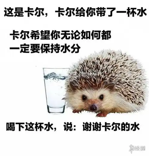  小刺猬卡尔是什么梗小刺猬卡尔表情包大全