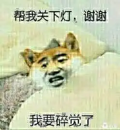  主人从来不让狗狗上床,结果主人刚出门狗狗造反了