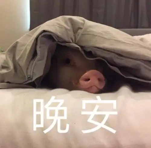  搞笑的晚安表情包合集