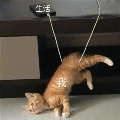  最新生活和我的表情包