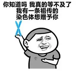撩妹子表情包一套这天