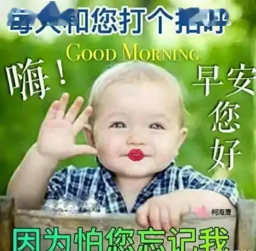  亲爱的早上好动态表情图片带鲜花,亲爱的早上好想你问候祝福语句子