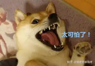 表情包鸭鸭嘴巴嘟嘟