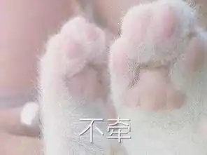  猫爪子牵手表情包牵手成功