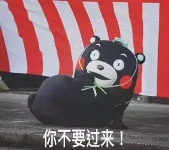  这个故事告诉我们,一只狗狗有芯片是有多重要