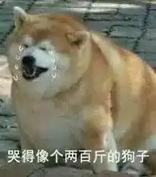  夏日空投表情包动物篇