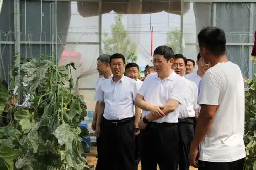  政协委员走基层,开展五送进乡村