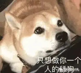  尽管你伤害了我,但我还是会找到新的办法爱你的