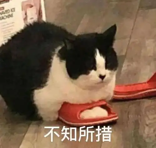  脱口秀coldcall是什么冷冻电话你打个试试