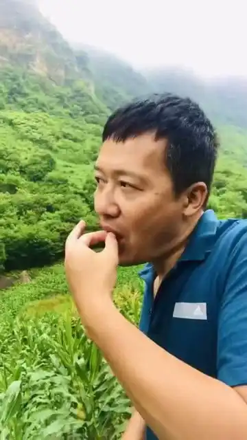  算是吼,不算唱,当个表情包吧