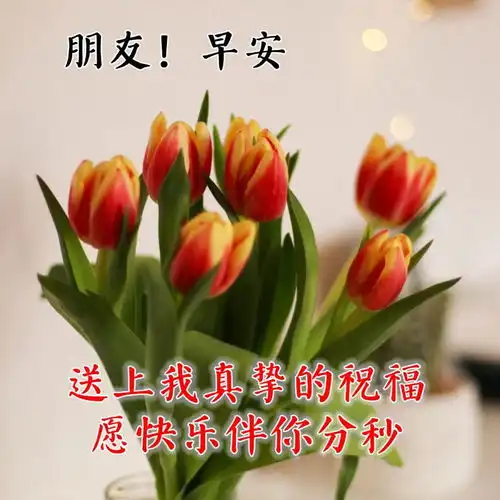  最漂亮早上好图片大全动态表情问候大家早上好的图片祝福语