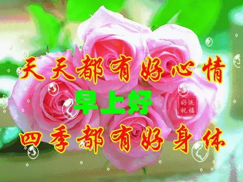 有图有字的图片表情包祝