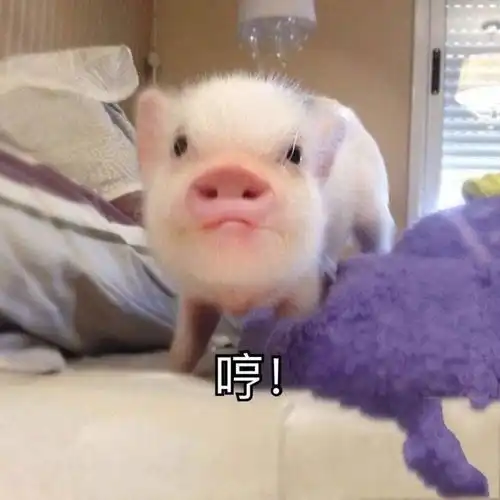  趣味表情包三十二,吃我一记咸鱼突刺腾讯新闻