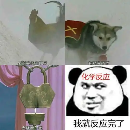 舔狗不得好死表情包gif