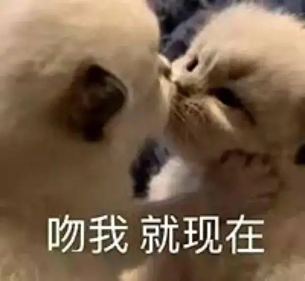  手滑把制服猫片发给了亲爸夺笋呐