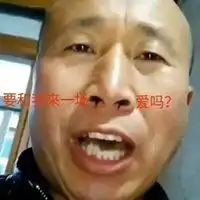 严肃点大叔那个表情包