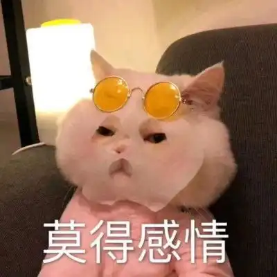  可爱又沙雕的朋友圈文案