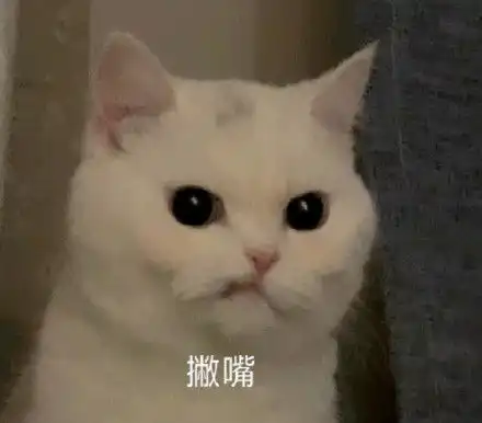  撇嘴猫表情包