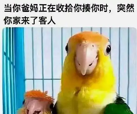  轻松一刻,搞笑图片,让你放松心情