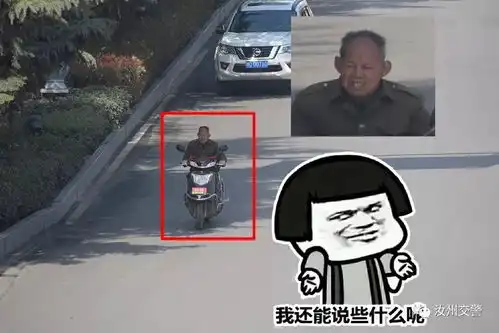 违章表情包行人
