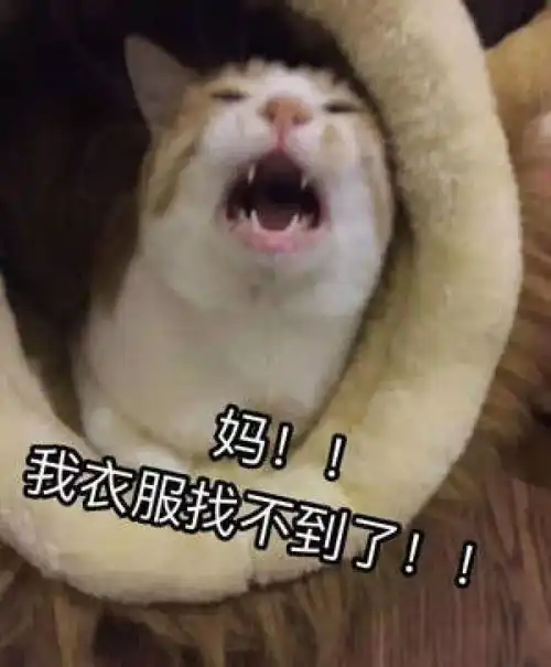 妈咪表情包大全如也
