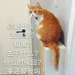  2019全国统一直男测试最新版