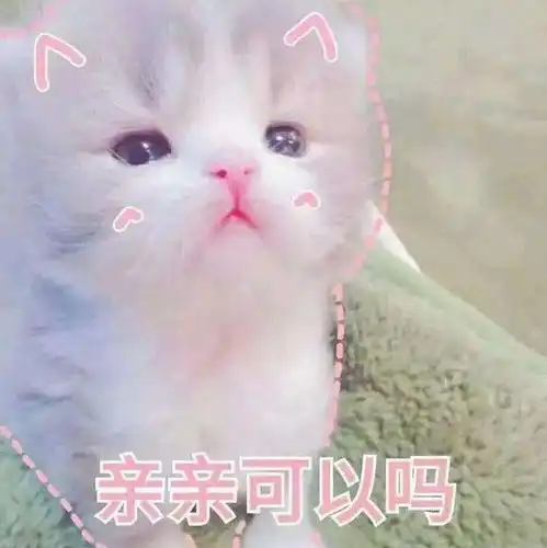  幽默笑话,儿子自己去理发店理了个很帅的发型