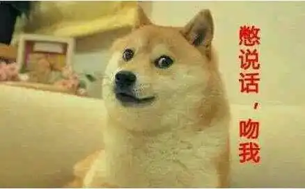  你要问我柴犬是什么样的狗我只能说它是狗界的一股奇葩之流