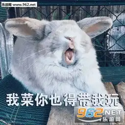  你能换个游戏玩吗谢谢兔子表情包你去单排求你了菜逼表情包下载乐游网游戏下载