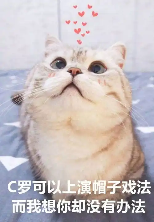  看球和陪我只能选一个,对象哄不好了怎么办