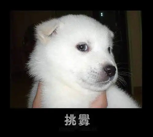  html手机端左右自动滚动效果,html5手机触屏左右滑动切换特效