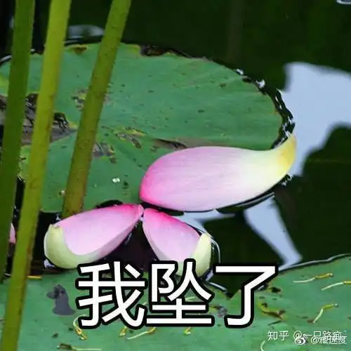  你用过哪些成套的表情包