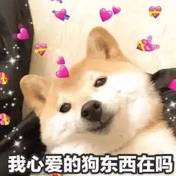  姐妹们请记住,恋爱时哪怕再喜欢,遇到原则问题也要保持清醒