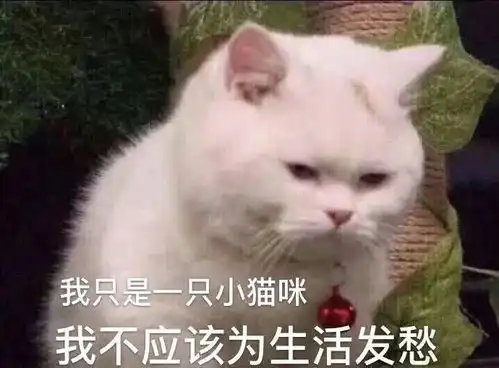  男朋友及其一伙兄弟在ktv玩游戏输了的要脱衣服,其中唯一女生输了最后也脱了上衣,我该不该提分手