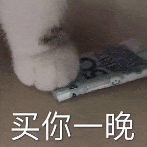  买你一晚不够再加