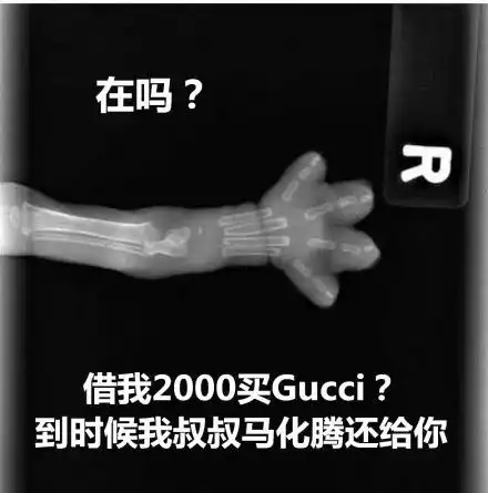  猫爪x光借钱表情包,在吗借我1000买纪梵希到时候我爸爸马云还给你
