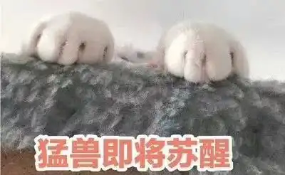 睡觉表情包高清起床