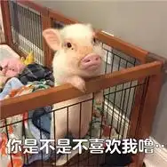  qq可爱表情可爱表情包可爱表情图片大全腾牛个性网
