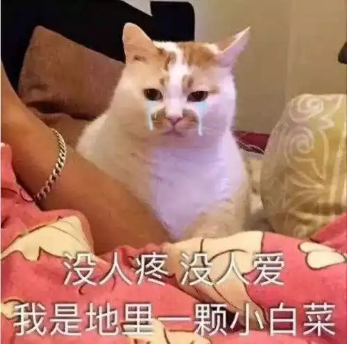  给重症毒贩上药,用泡面让绝食抢匪破功这个高墙引路人办法多