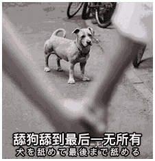  表情舔狗舔到最后一无所有