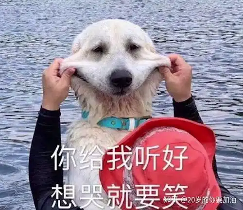  b站coderwhy老师半佛老师b站视频表情包整理