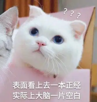  linux常用指令