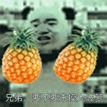  教皇熊猫人微信表情包