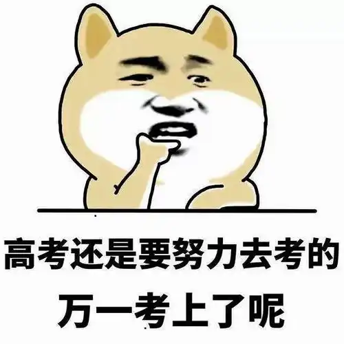  家长要注意了,高考仅剩1天,这3点容不得半点马虎,望周知考试周知高考网易订阅