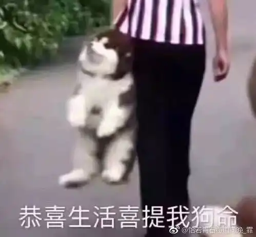 伍佰照片表情包射手