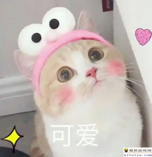  王者荣耀玩家趣事小合集,非常豹笑了内附大量怼队友表情包