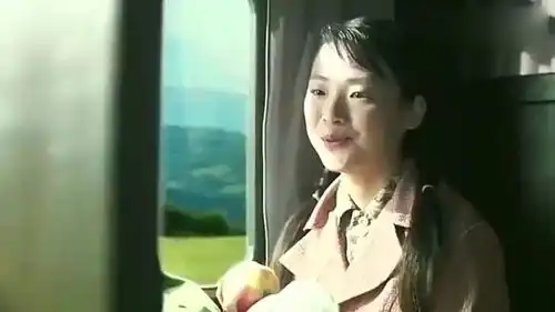  抗战郑耀先坐火车去北京,对面女子一席话郑耀先表情都变了