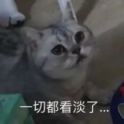  智障我见过表情最多的小猫咪了7.10