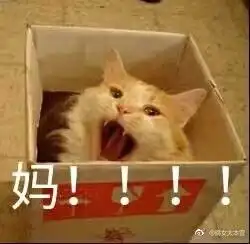 微信里捏胸那个表情包动