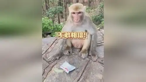 峨眉山的猴子表情包袋子